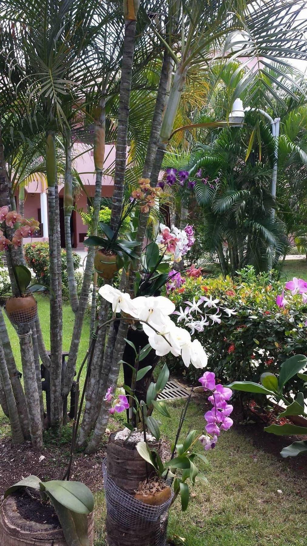 Soficu Hotel El Eden Dominicus Bayahibe Zewnętrze zdjęcie
